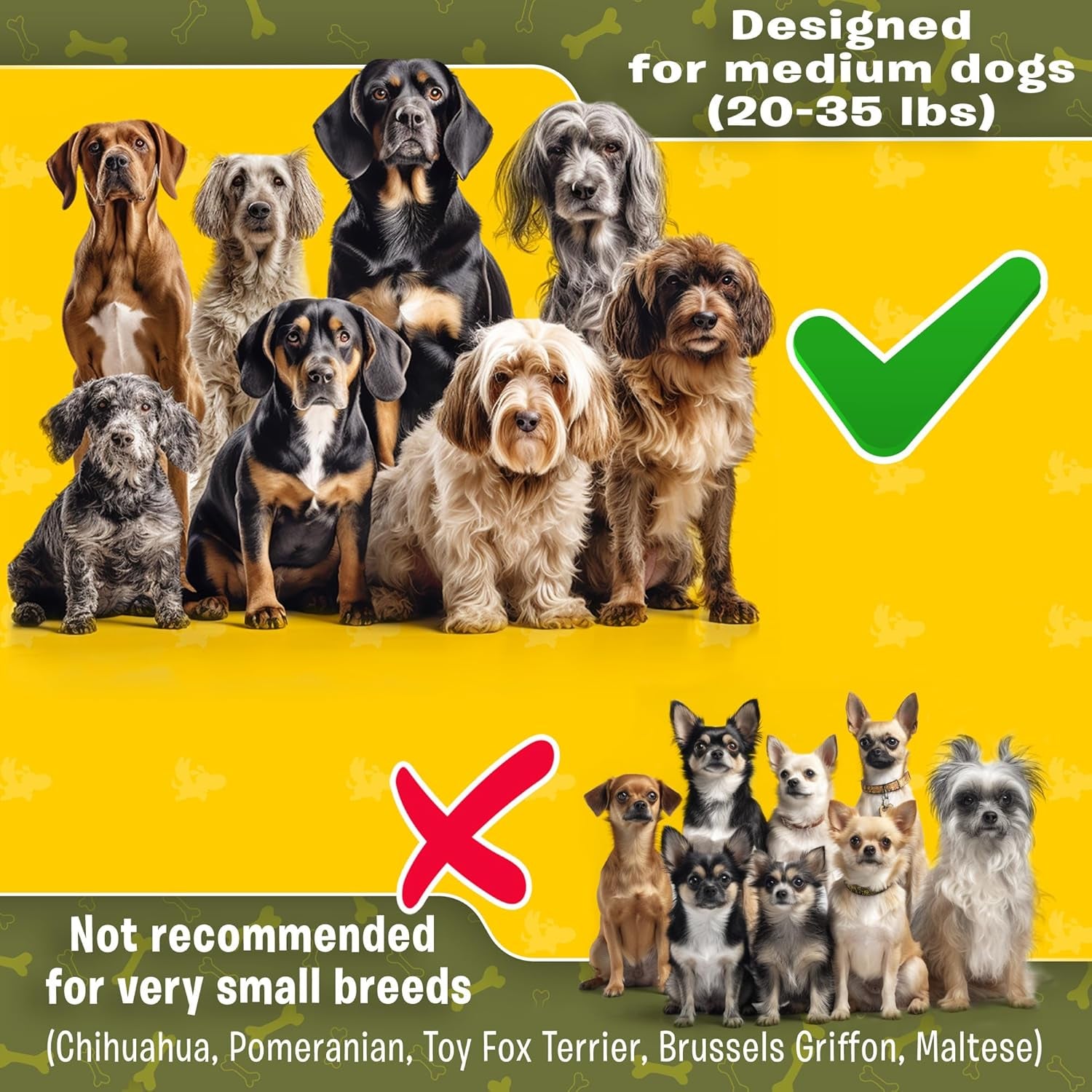 Exquisite Hands Free Double Dog Leash for Small Dogs | Dual Dog Leash | Two Dog Leash No Tangle | Multiple Dog Leash for 2 Dogs | Double Leash | Leash Splitter | Double Clip Leash Coupler